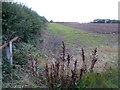 TL1294 : Looking along a hedgerow next to Oundle Road by Marathon