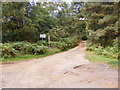 TM3446 : Footpath over Lower Hollesley Common by Geographer