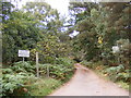 TM3446 : Footpath over Lower Hollesley Common by Geographer