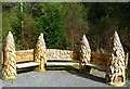 NX9891 : Bench in Forest of Ae by ronnie leask