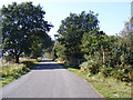 TM3546 : Road to Butley & Boyton & footpath to Melton Road by Geographer