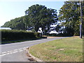 TM3545 : Woodbridge Road, Hollesley by Geographer