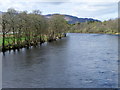 NN9557 : River Tummel, Pitlochry by Maigheach-gheal