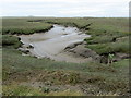 SD3545 : Grange Pool Tidal Channel by Chris Heaton