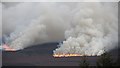 SE5891 : Muirburn, Laskill Pasture Moor by Richard Webb