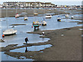 SX9372 : Gathering mussels, low tide, Shaldon  by Robin Stott