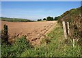 SX3554 : Tilled field, Portwrinkle by Derek Harper