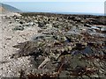 SX3153 : Rocks at Downderry by Derek Harper