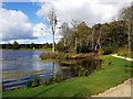 NZ3429 : Duck Decoy, Hardwick Hall Country Park by Andrew Curtis