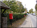 TM2139 : The Street, Nacton & Anchor House The Street Postbox by Geographer