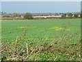 SK7285 : Yellow field alongside the Chesterfield Canal. by Christine Johnstone