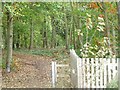 SK6683 : Well-used path into Barnby Fox Covert by Christine Johnstone