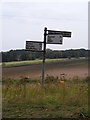 TM3651 : Wantisden Corner roadsign by Geographer