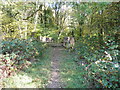 SU9636 : Brick footpath bridge near Northbridge, Chiddingfold by Dave Spicer