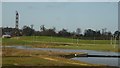 SE6350 : East lake and boilerhouse chimney by DS Pugh