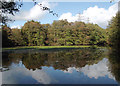 SO8992 : Spring Pool in Baggeridge Country Park near Sedgley by Roger  D Kidd