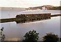 D4000 : Steam train, Glynn/Larne by Albert Bridge