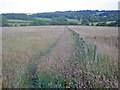 SK3957 : Hay meadows at Lower Delves Farm by Trevor Rickard