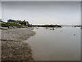 TF8444 : Tidal Channel at Burnham Overy Staithe by Chris Heaton