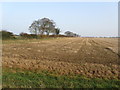 TF8343 : Field near the River Burn by Chris Heaton