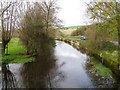 SU0425 : River Ebble, Broad Chalke - 8 by Maigheach-gheal