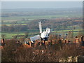 SK9772 : Ellis Windmill, Mill Road, Lincoln by PAUL FARMER