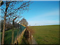  : Path Outside the Fence by Des Blenkinsopp