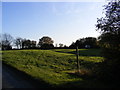 TM2979 : Footpath to Fressingfield Road by Geographer