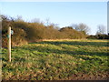 TM2979 : Footpath off the B1123 Harleston Road by Geographer