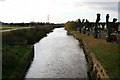 SK5435 : Pollarded willows along the Beeston Canal by David Lally