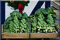 TQ2754 : Brussels Sprouts at Fanny's Farm Shop by Peter Trimming