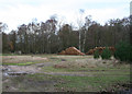 SK6374 : Logs in Clumber Park  on Christmas Day by roger geach