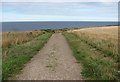 NJ4768 : Coast path, Banffshire by Richard Webb