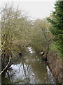 TQ7293 : River Crouch by terry joyce