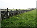 SE2007 : Dry stone wall reinforced with barbed wire by Christine Johnstone