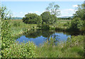 SN6862 : Pool and trees on Cors Caron in July, Ceredigion by Roger  D Kidd