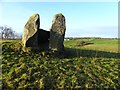 H4187 : Chambered grave, Crosh (2) by Kenneth  Allen