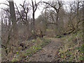 SJ8393 : Path Through Hough End Clough by David Dixon