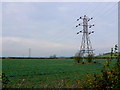 SP1145 : Fields near Tump Bew Hill by Nigel Mykura