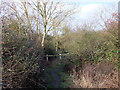 TQ6687 : Pathway in Langdon Nature Reserve by PAUL FARMER