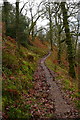 SS9042 : Path rounding Hollow Combe by Graham Horn