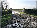 SE4806 : Muddy footpath entrance, Bilham Lane by Christine Johnstone