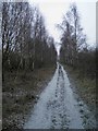 SE4202 : Footpath to RSPB Bolton Ings by Steve  Fareham