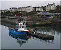 J5082 : The 'Blue Aquarius' at Bangor by Rossographer