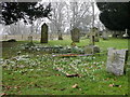 SU1219 : Snowdrops in the churchyard, Whitsbury by Maigheach-gheal