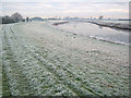 SK8062 : River Trent levee near Cromwell by Trevor Rickard