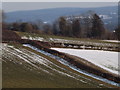 TQ0548 : Scarp Slope on North Downs by Colin Smith