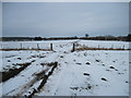 SE8286 : Blansby  Park  A  Winter  Scene by Martin Dawes