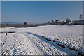 TQ2349 : Reigate Heath in snow by Ian Capper