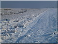 TF4133 : The Wash coast in winter - Snow and hoar frost by Richard Humphrey